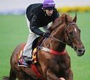 Three Queensland Jockeys to Participate in the China Horse Club Races