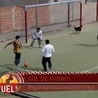 Dog Scores a Goal in Argentina